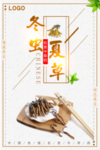 简约古风冬虫夏草药品海报