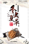 中国风简约冬虫夏草宣传海报
