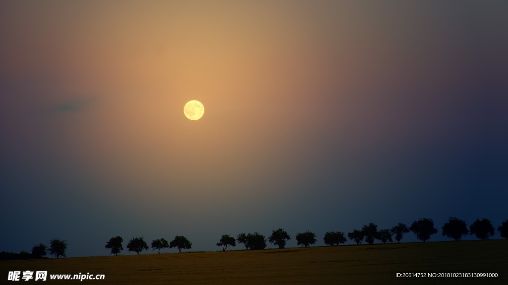 夕阳下的野外风景