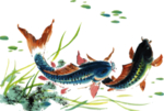 锦锂