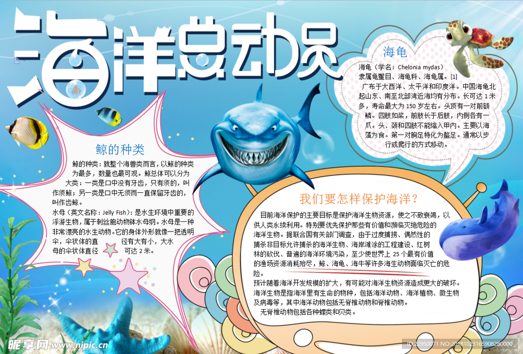 海洋小报