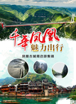 千年凤凰 魅力出行海报