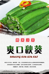 爽口秋葵