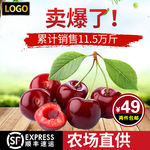 樱桃