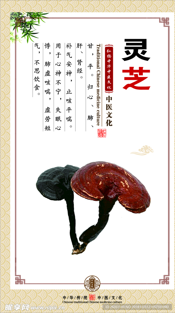 灵芝