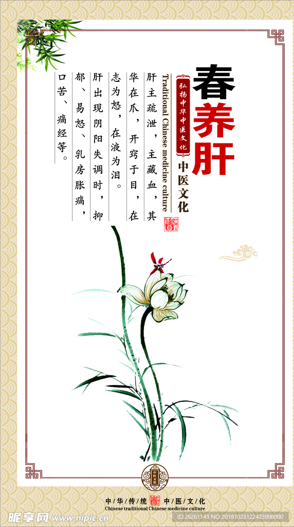 春养肝
