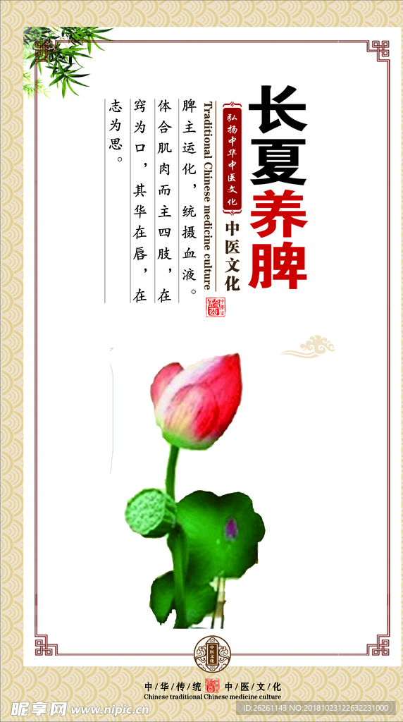 夏养脾