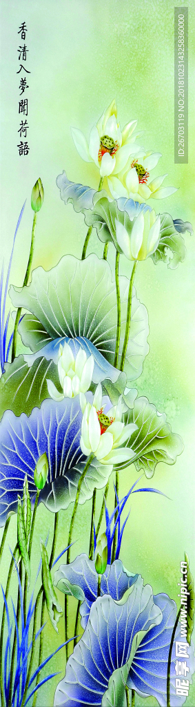 荷花