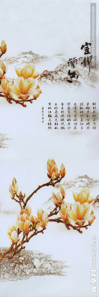玉兰
