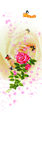 花纹