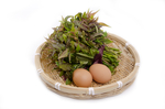 蔬菜  高清蔬菜   蔬菜素材