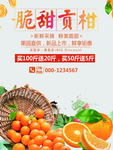 橙子 甜橙