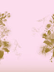 花纹
