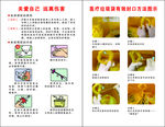 标准预防和垃圾袋