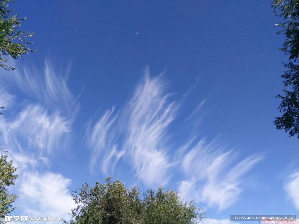 天空照
