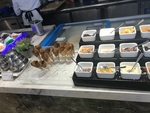 美食