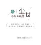 摄影写真后期字体文字排版模版