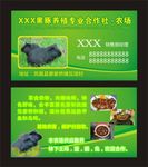 黑豚名片