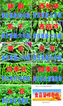 学校菜品