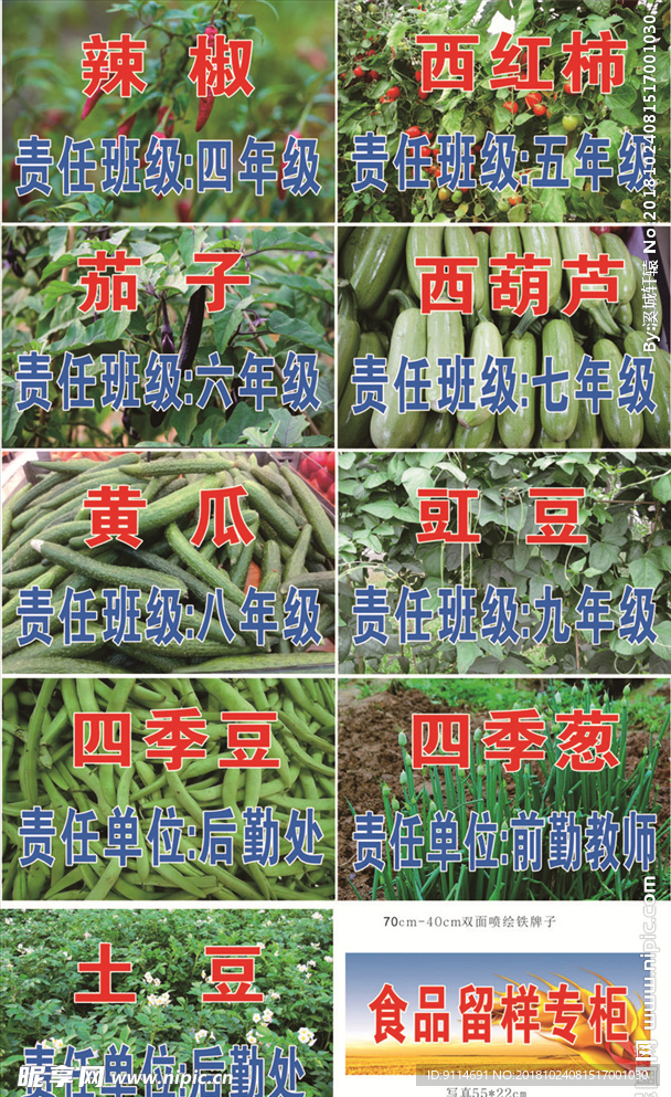 学校菜品
