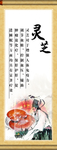 挂轴