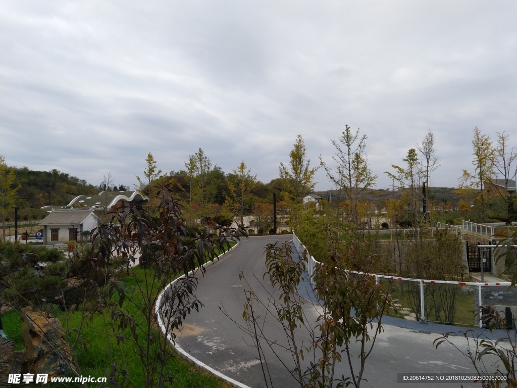 公园道路风景