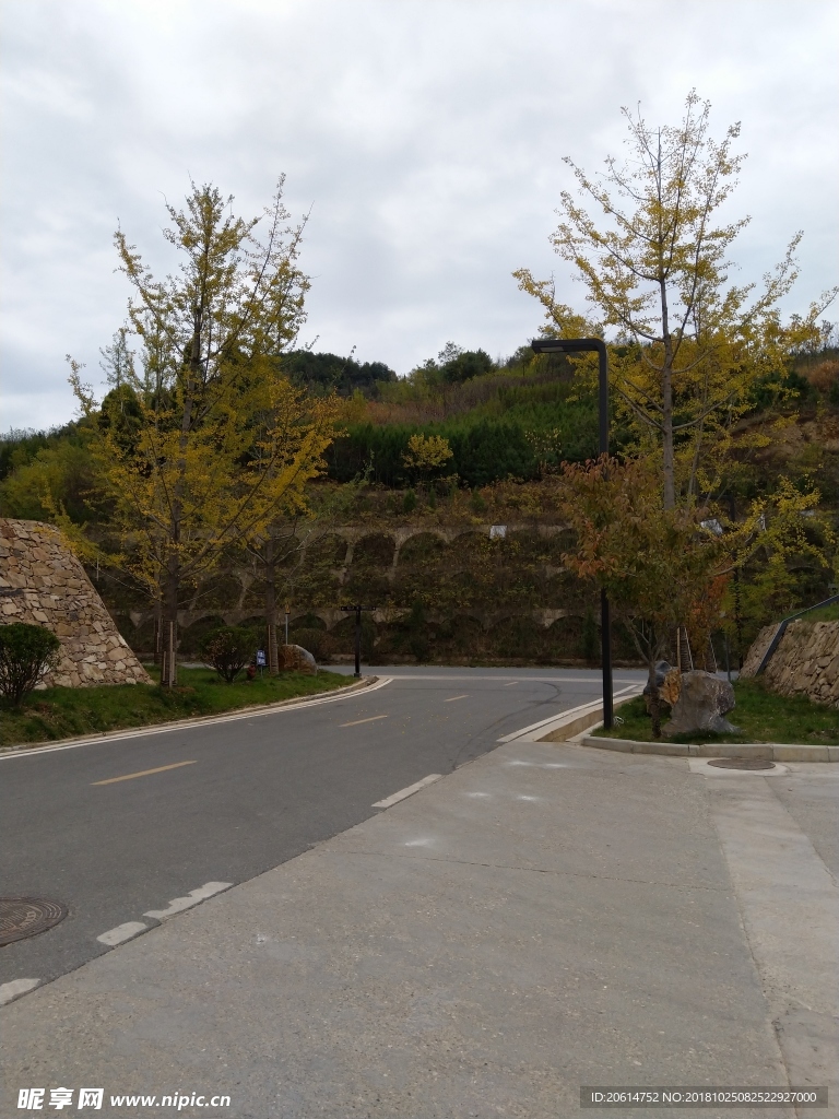 深秋时节的公园风景