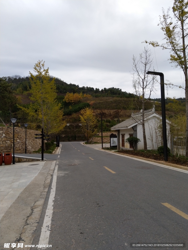 空荡荡的公园道路