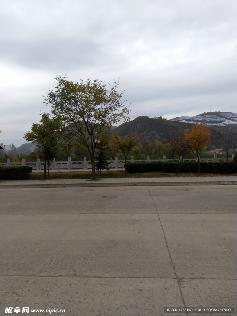城市道路风景