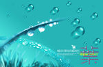 水珠水露水纹