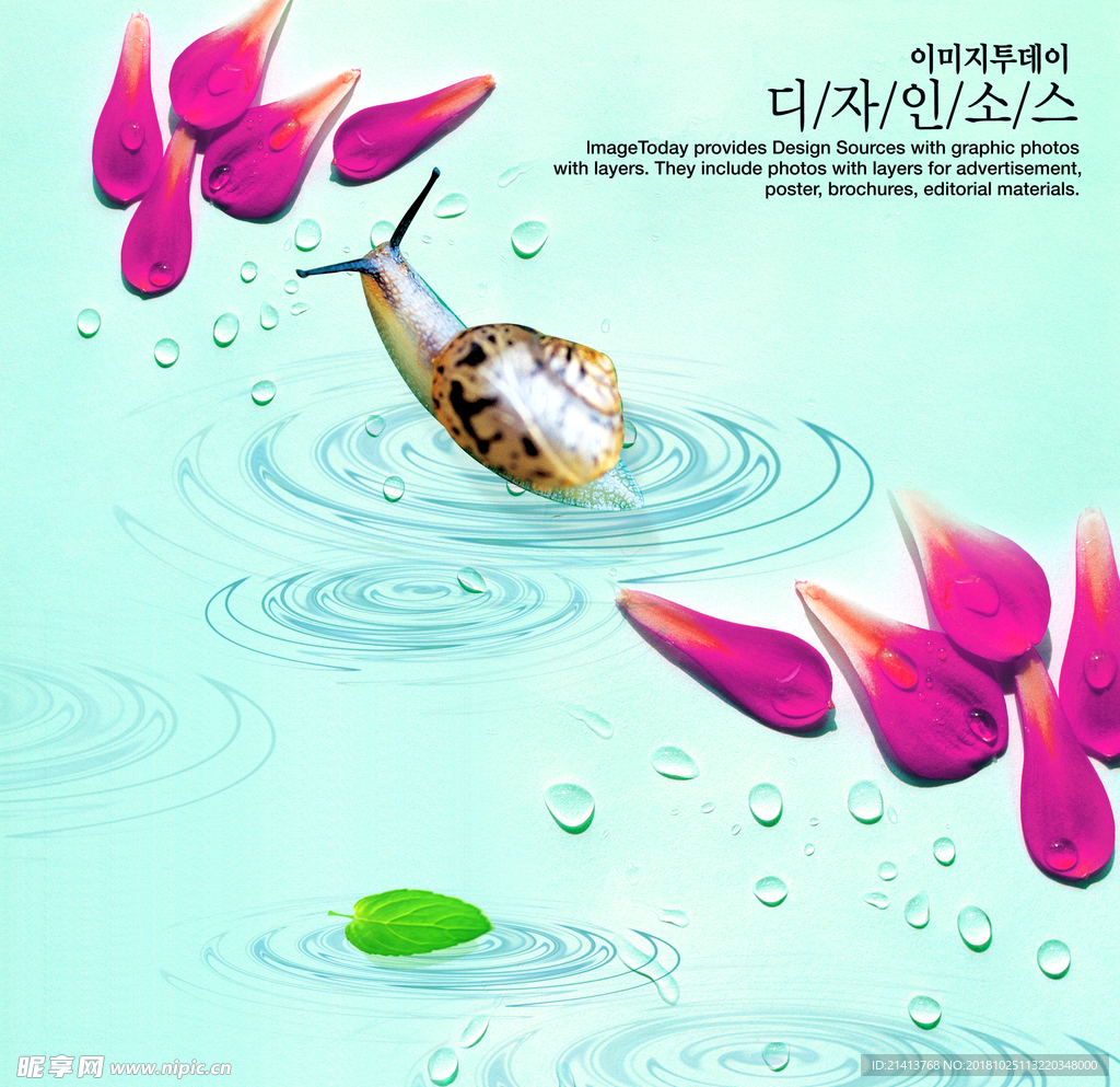 水珠水露水纹