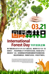 国际森林日