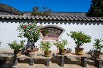 岱庙