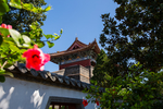 岱庙