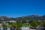 岱庙