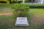 孔子研究院