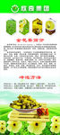 企业展架模版