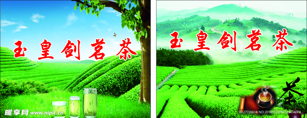 玉皇剑茗茶