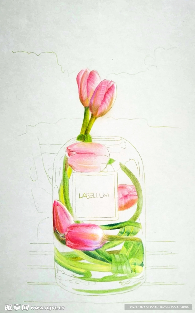 彩铅写实绘画-郁金香玻璃花瓶