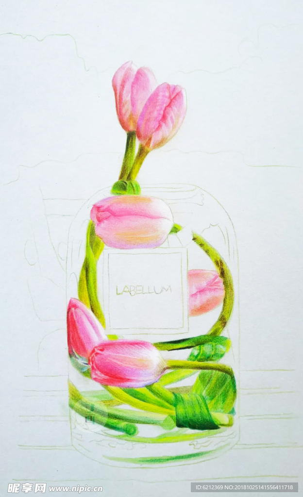 彩铅写实绘画-郁金香玻璃花瓶