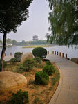 秋日街边小景