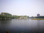 秋日街边小景