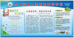 创文控烟工作专题宣传