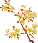 黄色树枝花朵