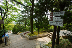 信号山