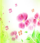 花纹
