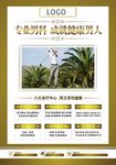 专业男科海报
