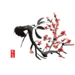 梅花素材