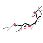 梅花