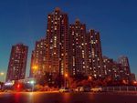 夜上金月湾